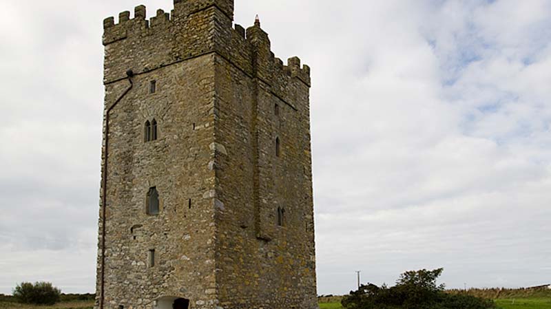 Ballyhealy Castle